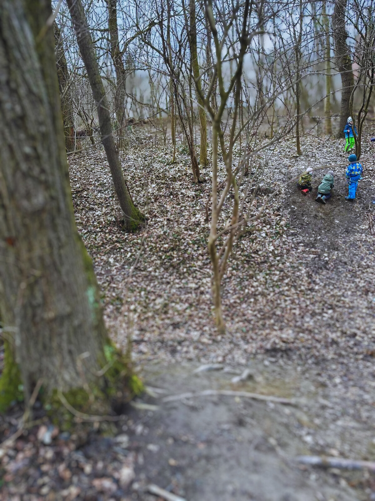 Z&aacute;ti&scaron;ie